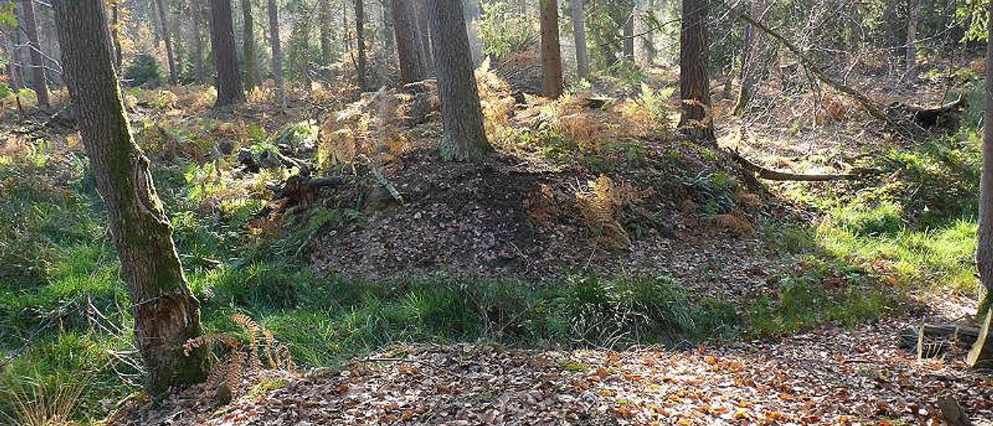 Spaziergang zur Hünenburg