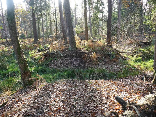 Spaziergang zur Hünenburg