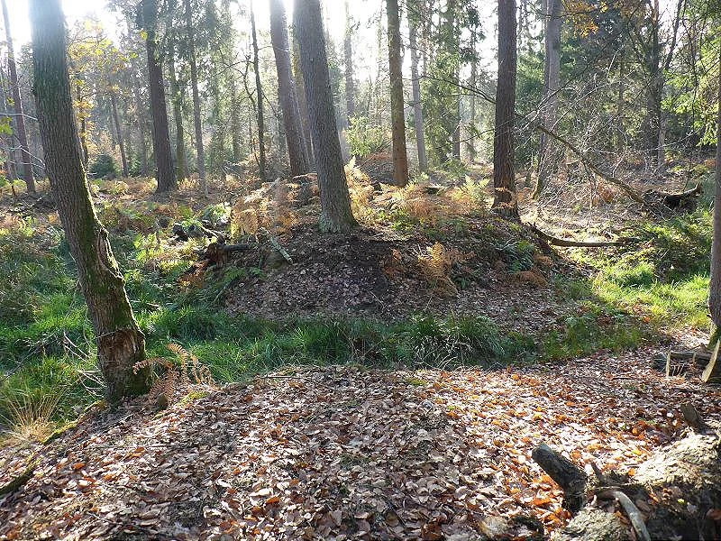 Spaziergang zur Hünenburg