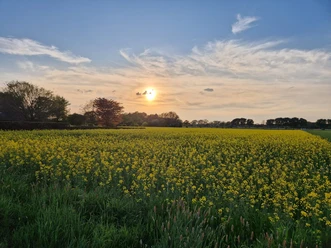 Landschaftsaufnahme