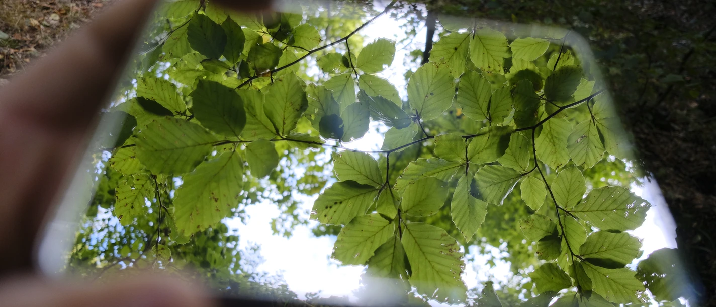 Spiegel (c) Catharina Schütze.jpg