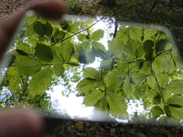 Spiegel (c) Catharina Schütze.jpg