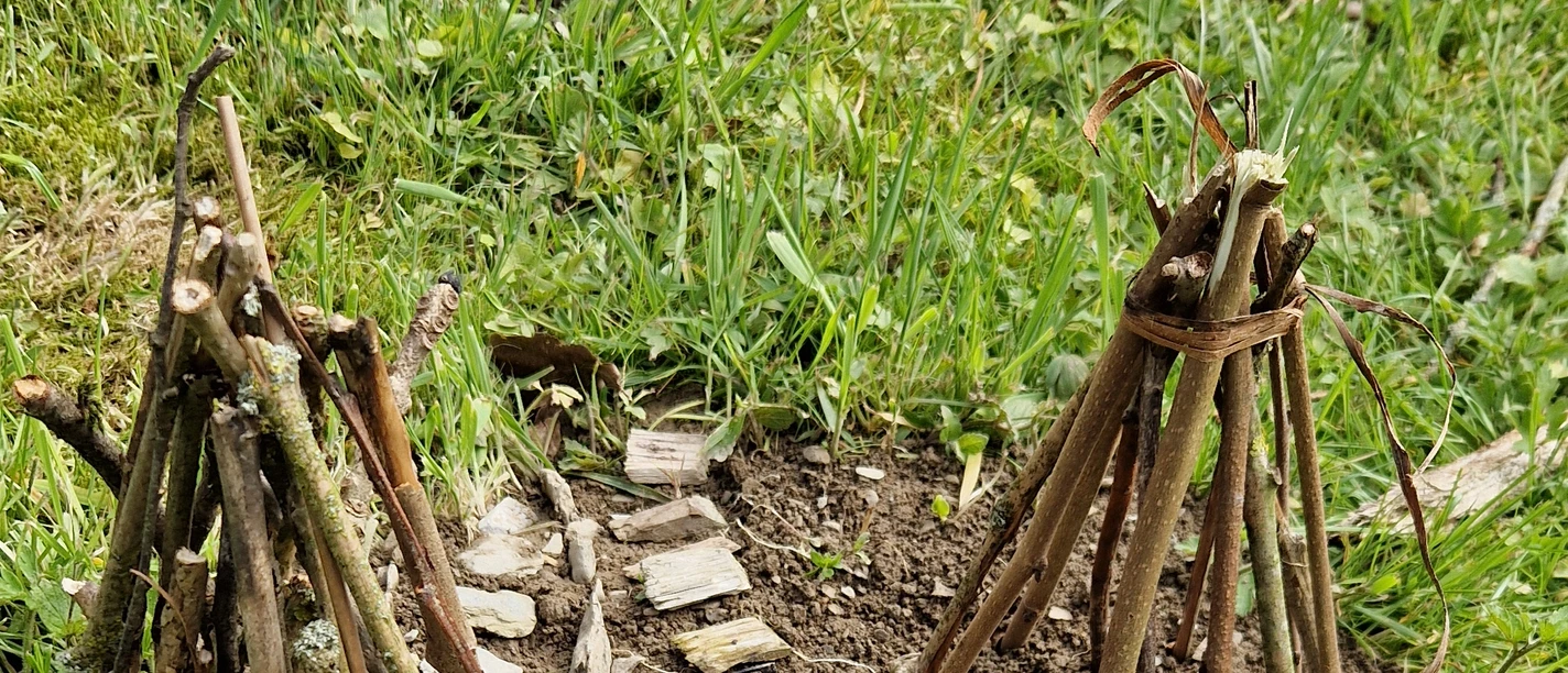 Stehende Stöcke (c) Catharina Schütze.jpg