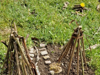 Stehende Stöcke (c) Catharina Schütze.jpg