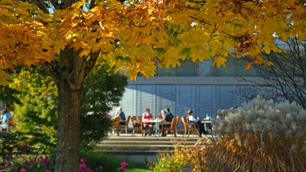 Park_der_Gaerten___Deutschlands_groesste_Mustergartenanlage_im_herbstlichen_Zauber_02.png Menschen sitzen im herbstlichen Garten unter gelb leuchtenden Ahornblättern auf einer Sonnenterrasse.