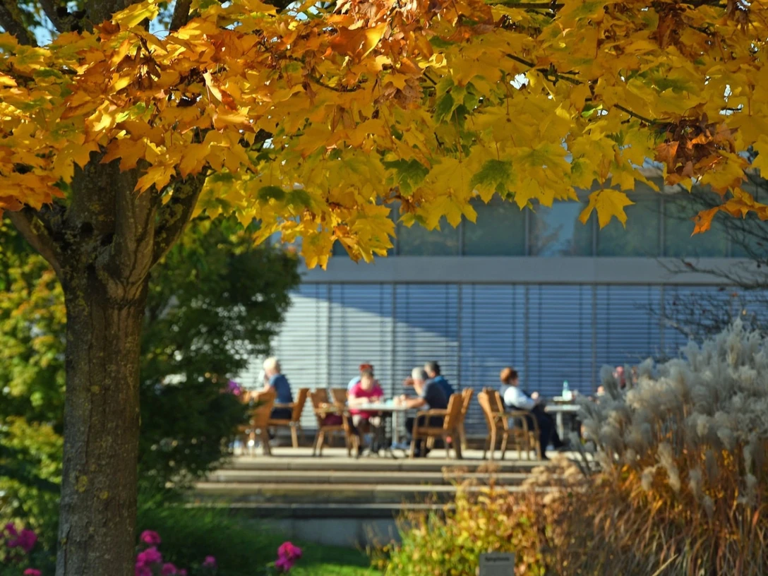 Park_der_Gaerten___Deutschlands_groesste_Mustergartenanlage_im_herbstlichen_Zauber_02.png Menschen sitzen im herbstlichen Garten unter gelb leuchtenden Ahornblättern auf einer Sonnenterrasse.
