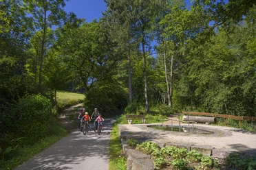 Fahrrad fahren im TalVITAL