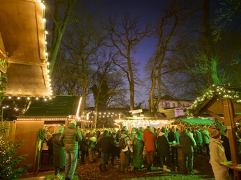 Weihnachtsmarkt im Wäldchen mit beleuchteten Bäumen, Verzehrhütten und Besuchern.