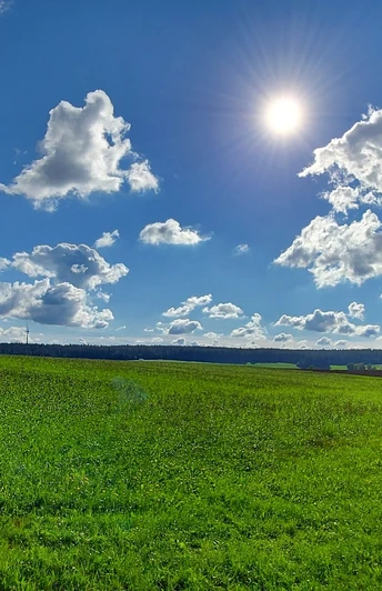 Wiesenpfad am Waldrand entlang