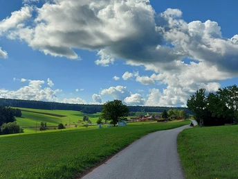 Blick zurück Richtung Igelsberg