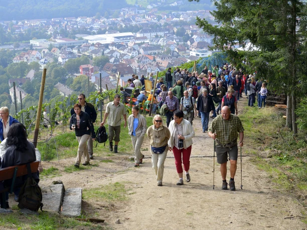 Wanderung von Schlemmerstation zu Schlemmerstation