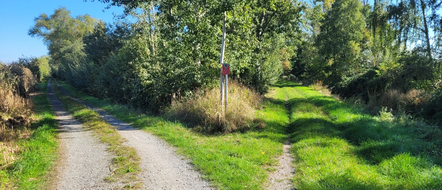 Vogelschutzgebiet Drömling