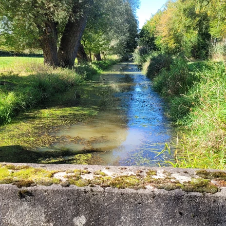 Kanal im Vogelschutzgebiet Drömling