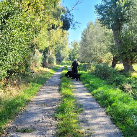 Spaziergänger im Vogelschutzgebiet Drömling