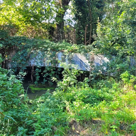 Kanal im Vogelschutzgebiet Drömling