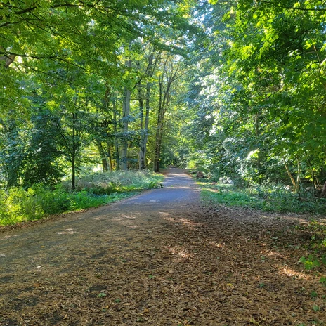 Vogelschutzgebiet Wolfsburger Stadtwald