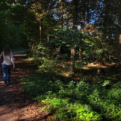 Spaziergängerin und Schild zu den Drei Steinen im Wolfsburger Stadtwald