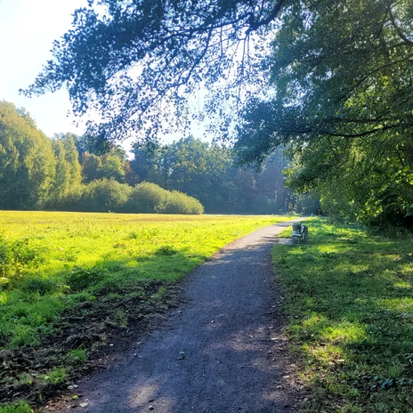 Wiese und Weg am Wolfsburger Stadtwald