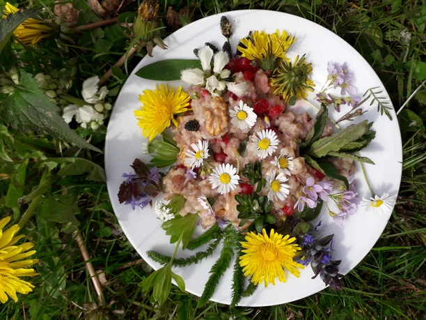 Wildkräuter Gericht