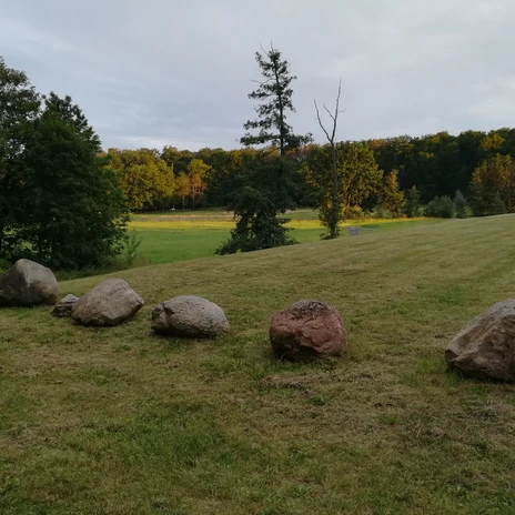 Wiese im Vogelschutzgebiet Hohenstedter Holz