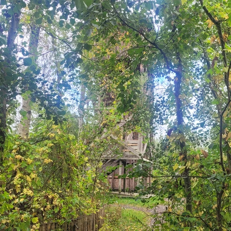 Aussichtsturm Ilkerbruch im Vogelschutzgebiet Barnbruch