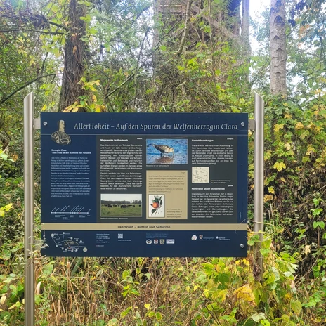 Infotafel im Vogelschutzgebiet Barnbruch