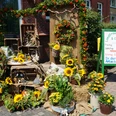 LandfrauenMarkt Ihlienworth Bunte Blumenarrangements mit Sonnenblumen vor dem Eingang des Landfrauenmarkts und Cafés.