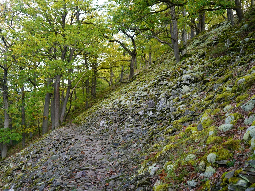 Blockhalde Lindenberg