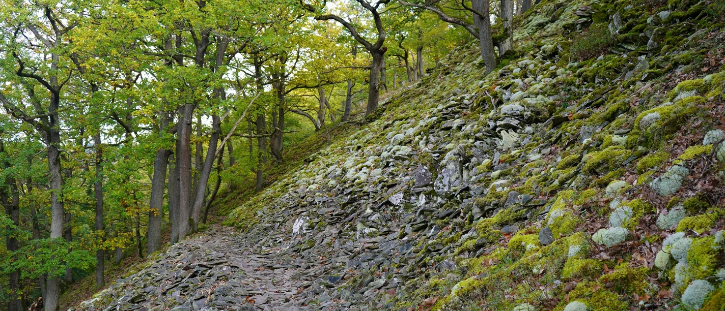 Blockhalde Lindenberg
