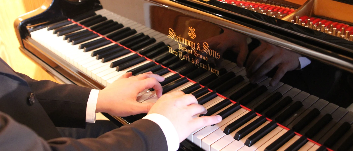 Steinwayflügel Steinwayflügel