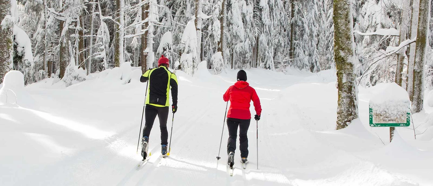 Langlauf auf der Freiersberger Loipe in Bad Peterstal-Griesbach