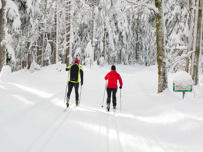 Langlauf auf der Freiersberger Loipe in Bad Peterstal-Griesbach