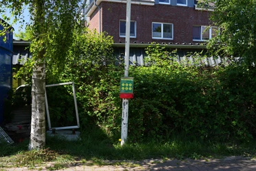 DSC07436-Nr23.jpg