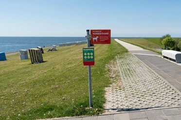 DSC07182-Nr2.JPG
