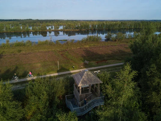 Naturreservat Bargerveen