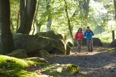 Großsteingrab Deymanns Mühle Zwei Wandernde gehen zwischen moosbewachsenen Felsen durch einen sonnendurchfluteten Wald.