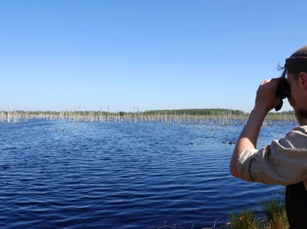 Naturschutzgebiet Theikenmeer bei Werlte