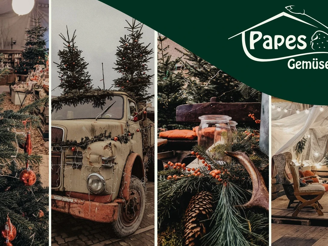 Kein Titel (608 x 342 px) (1920 x 1080 px) (1).jpg