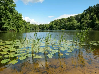 Naturpark Solling-Vogler