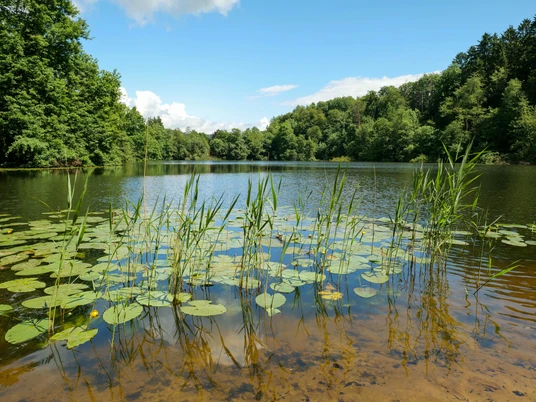Naturpark Solling-Vogler