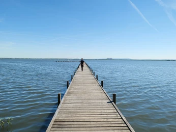 Naturpark Steinhuder Meer