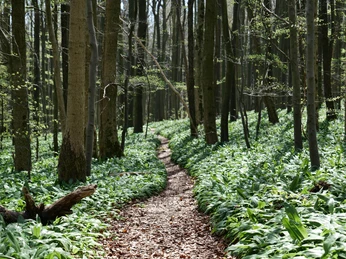 Naturpark Weserbergland