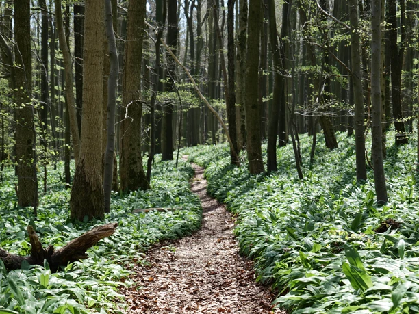 Naturpark Weserbergland