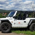 Buggy-1100-Farben-n2.jpg