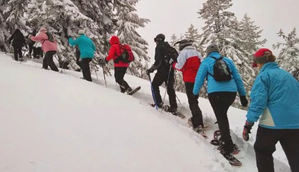 Braunlage-Skischule-Snowboots2.jpg