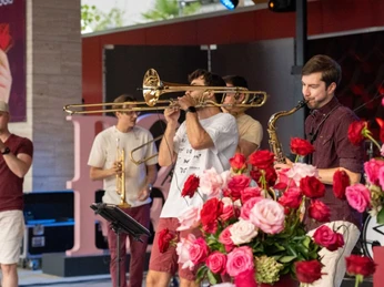 Concert de cuivres Fête de la Rose Représentation de Braesskalation à la fête des roses