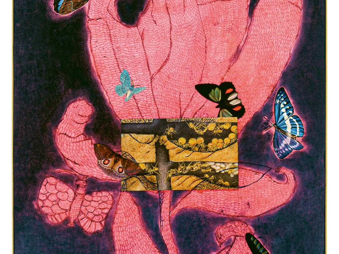 Yayoi Kusama, Selbstporträt, 1972 Collage im psychedelischen Stil mit Motiven der Natur, eindrucksvollen Farben und Schmetterlingen.Collage in psychedelic style with motifs of nature, impressive colors and butterflies.