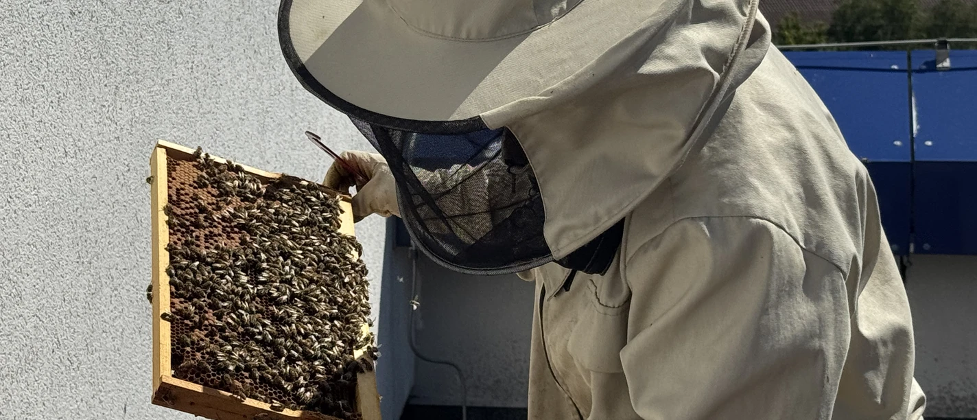 Imkerin bei der Arbeit Imkerin bei der Arbeit