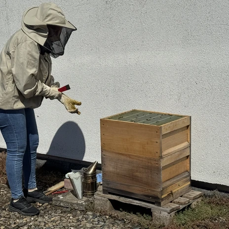 Imkerin auf dem Dach
