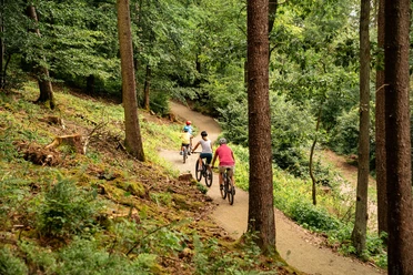 Green Trails Familie